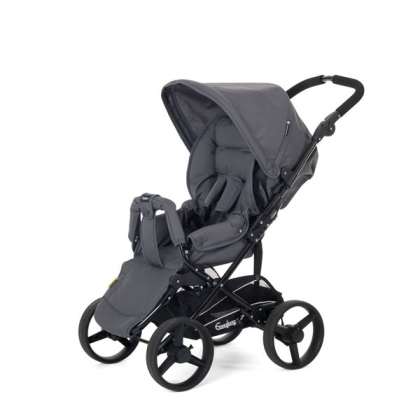 Vežimėlis Buddy Dark Grey 2015