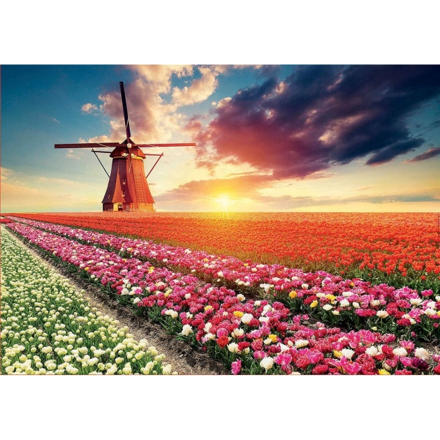 Dėlionė Educa Fields of Tulips 18465 1500 Dalys