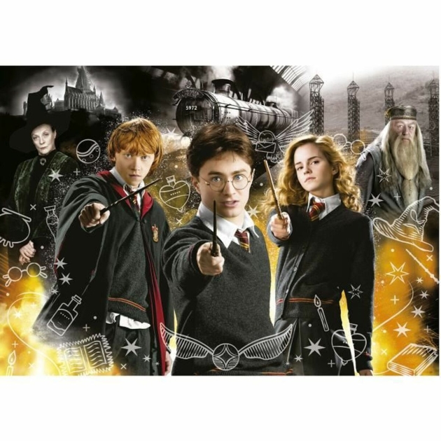 Dėlionė Educa Harry Potter Neonas 1000 Dalys