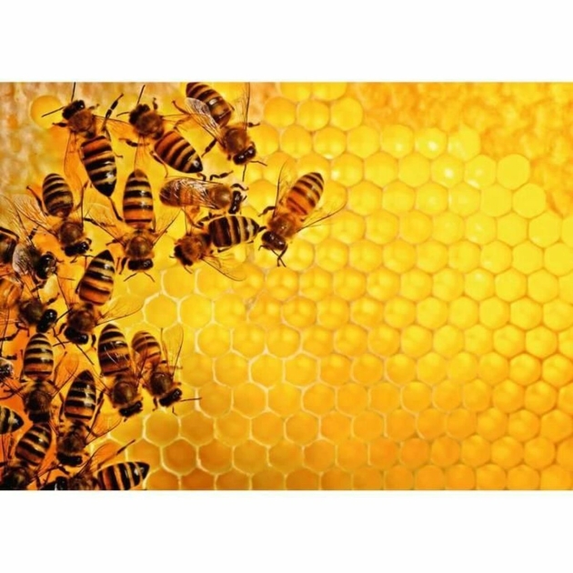 Dėlionė Ravensburger Challenge 17362 Beehive 1000 Dalys