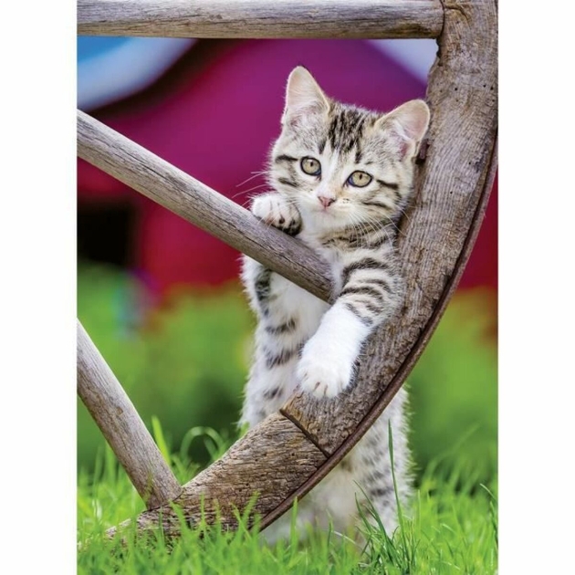 Dėlionė Ravensburger Kittens 2 x 500 Dalys