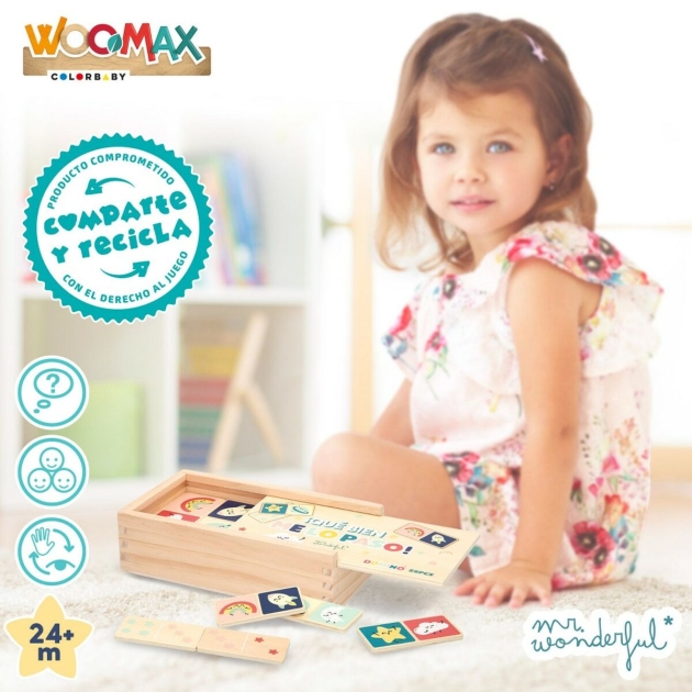 Domino Mr. Wonderful (12 vnt.)