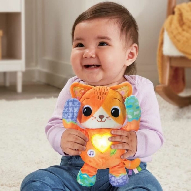 Mokomasis žaidimmas Vtech Baby Fripon cache cahe chaton (FR)