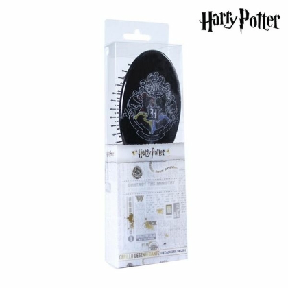 Plaukų stilius Harry Potter CRD-2500001307 Juoda