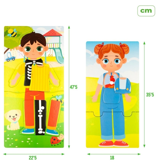 Edukacinis žaidimas Lisciani Baby Doctor 22,5 x 0,5 x 47,5 cm (6 vnt.)