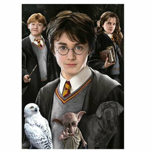 Dėlionė Harry Potter 1000 Dalys