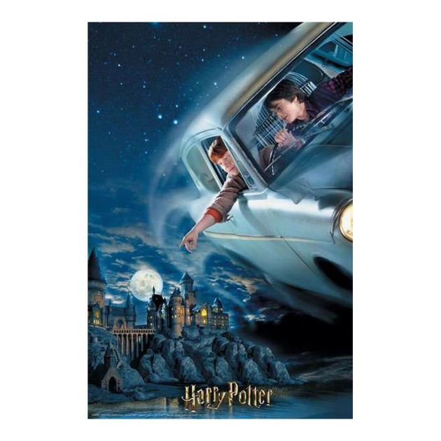 3D Puzlė Harry Potter Ron Harry Potter (300 pcs)