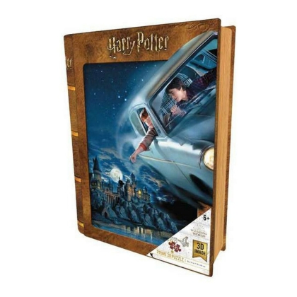 3D Puzlė Harry Potter  Ron Harry Potter   (300 pcs)