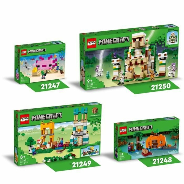 Playset Lego 21249 Spalvotas